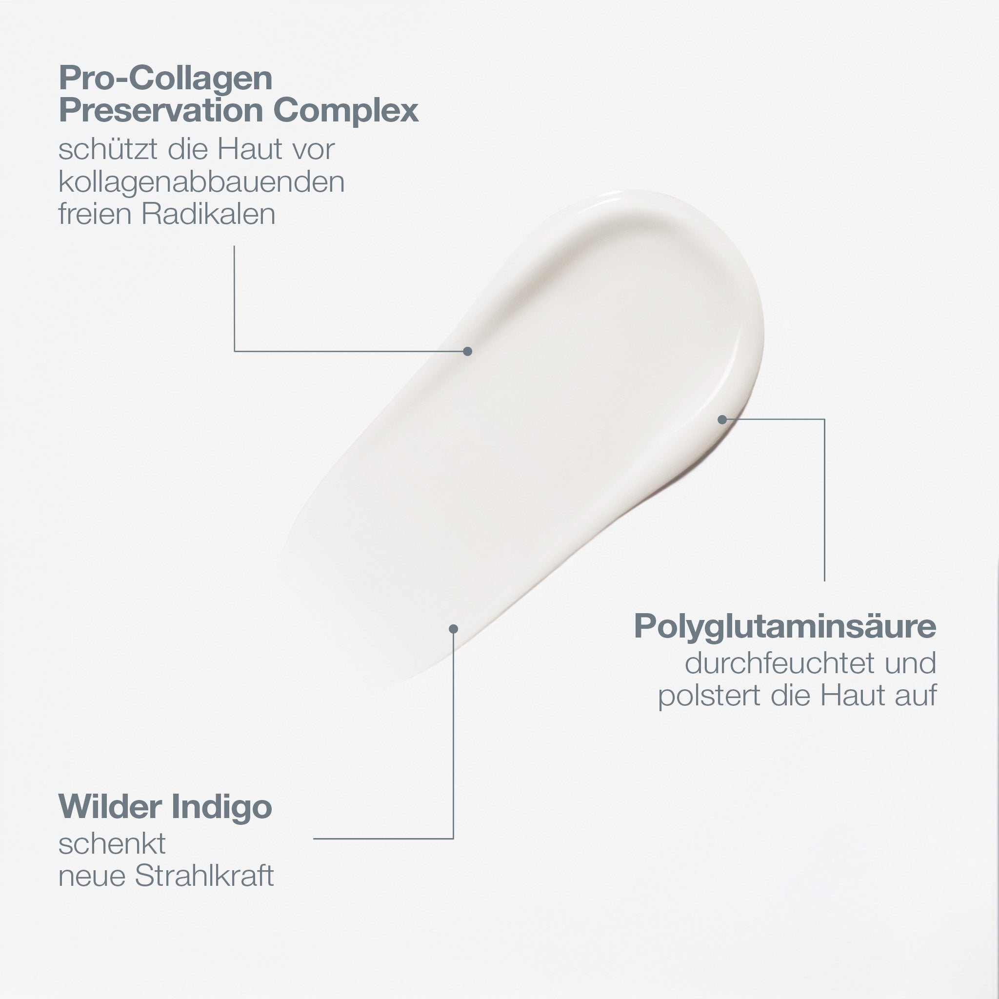 Sérum pro-collagène pour la conservation