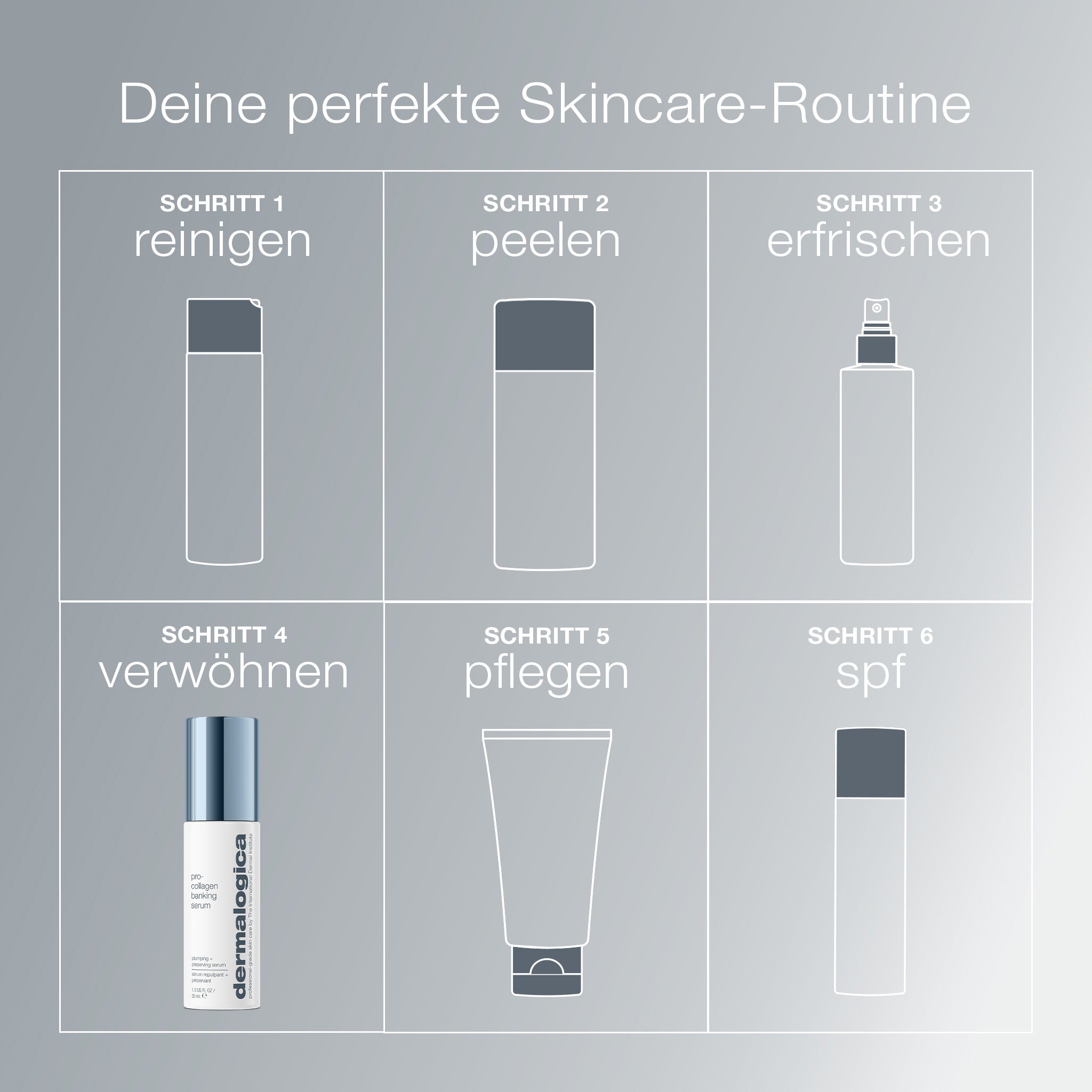 Sérum pro-collagène pour la conservation