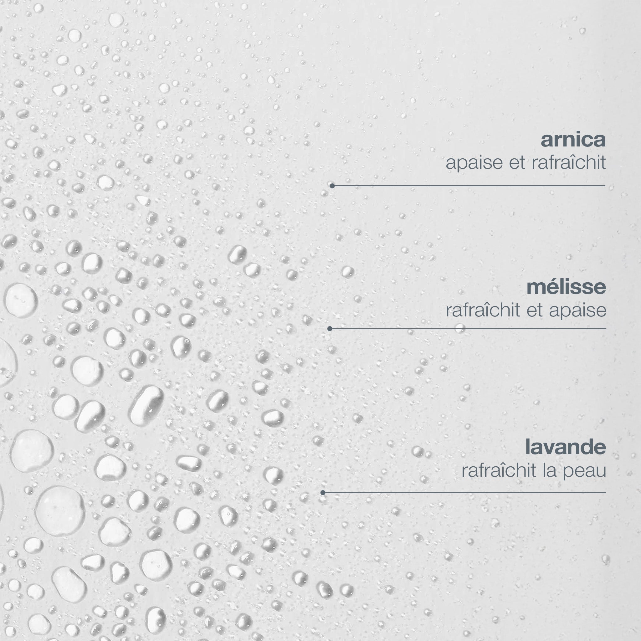 Toner multi-actif